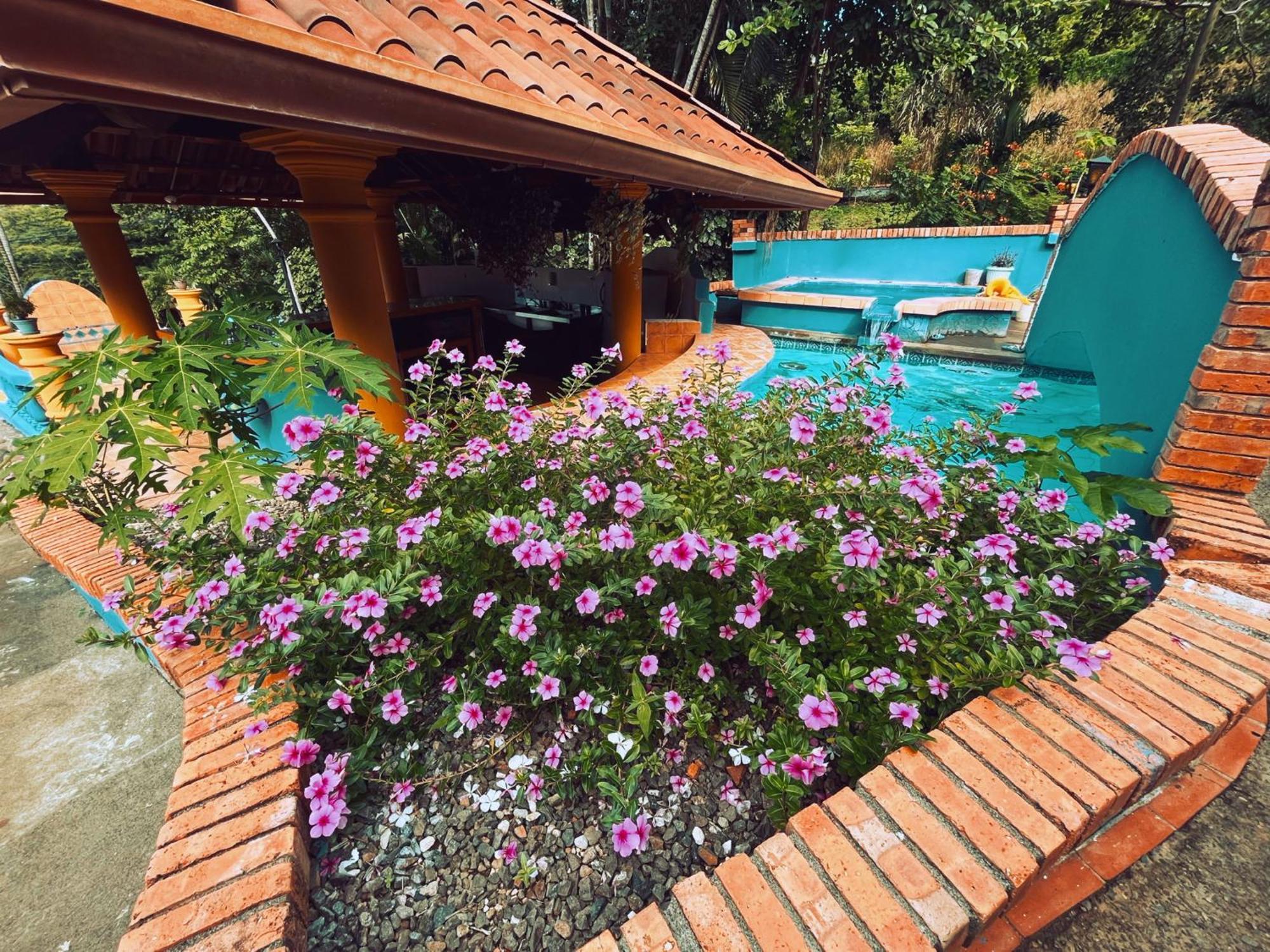 Siwo Art Guesthouse Playa Ocotal المظهر الخارجي الصورة